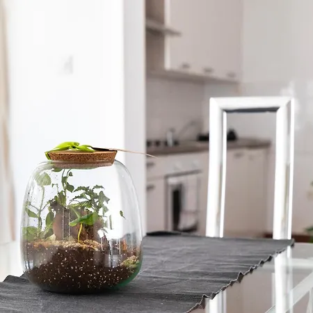 Comfort Family With Balcony And Sea View Apartment *